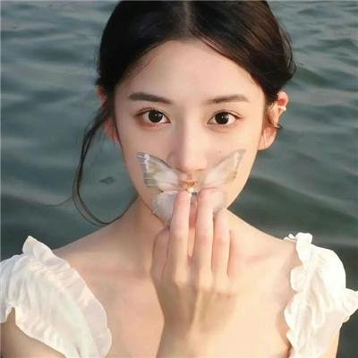 美声歌鸡